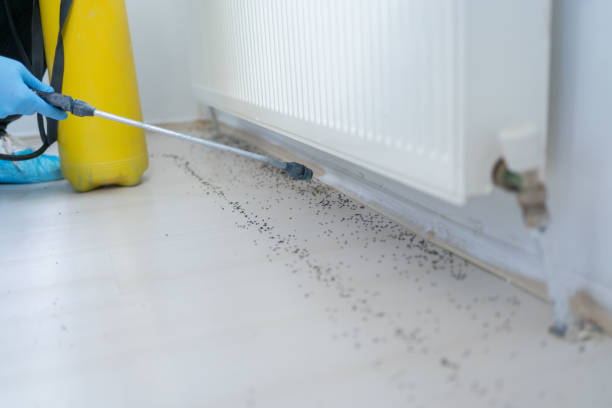 Best Pest Exclusion Services  in Sam Rayburn, TX